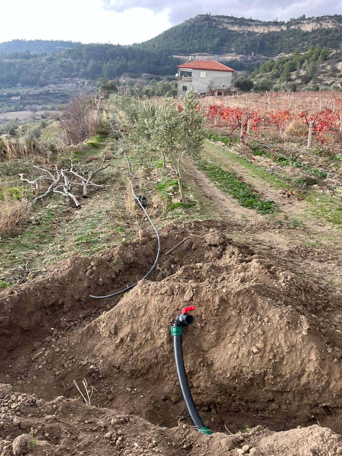 Sulama Projesi