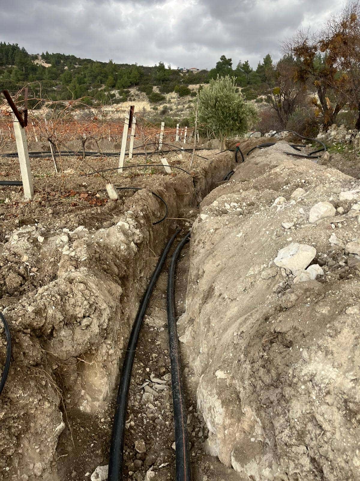 Sulama Projesi